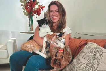 Imagem ilustrativa da imagem Pets mudam a rotina em mais de 1 milhão de lares no ES