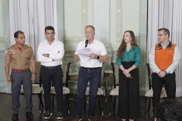 Imagem ilustrativa da imagem Plano para recuperar 250 mil hectares de floresta no Espírito Santo