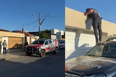 Imagem ilustrativa da imagem Polícia Civil realiza duas operações contra tráfico de drogas e lavagem de dinheiro