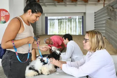 Imagem ilustrativa da imagem Prefeitura do Recife promove dia de vacinação, adoção e atendimento veterinário
