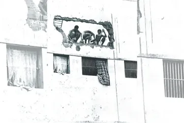 
          Imagem ilustrativa da imagem Romero Mendonça: despedida ao fotógrafo que perseguia notícias
          