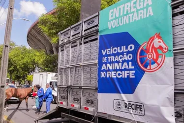 
          Imagem ilustrativa da imagem Segunda rodada do censo dos carroceiros do Recife termina amanhã (10)
          