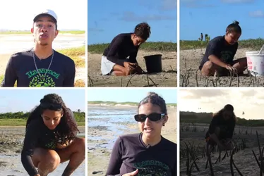 Imagem ilustrativa da imagem Seis jovens plantam mais de 15 mil mudas e fazem renascer o mangue em Itamaracá