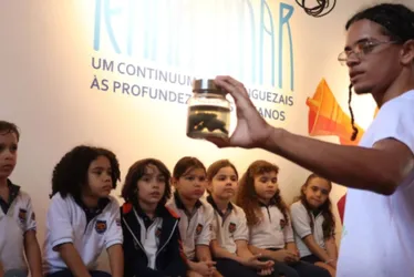 Imagem ilustrativa da imagem Seis jovens plantam cerca de 19 mil mudas e fazem renascer o mangue em Itamaracá