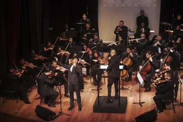 Imagem ilustrativa da imagem Shows, orquestra e exposições durante o feriado no ES