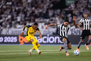 Imagem ilustrativa da imagem Sport repete roteiro de frustrações e leva virada do Botafogo no Nilton Santos