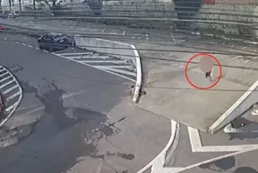 
          Imagem ilustrativa da imagem Suspeito de assaltar e ameaçar idosa em shopping de Vila Velha é preso
          