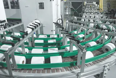 Imagem ilustrativa da imagem Suzano vai produzir 1 milhão de rolos de papel por dia no ES