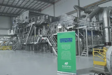 Imagem ilustrativa da imagem Suzano vai produzir 1 milhão de rolos de papel por dia no ES