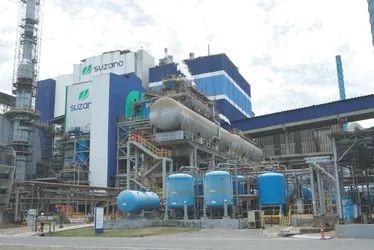 Imagem ilustrativa da imagem Suzano vai produzir 1 milhão de rolos de papel por dia no ES