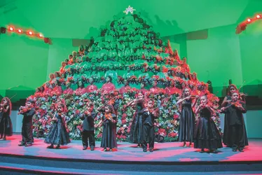 
          Imagem ilustrativa da imagem Temporada de cantatas e musicais na Grande Vitória!
          