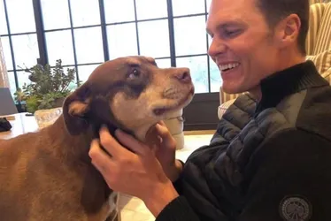 Imagem ilustrativa da imagem Tom Brady revela que clonou cachorra adotada com Gisele Bündchen
