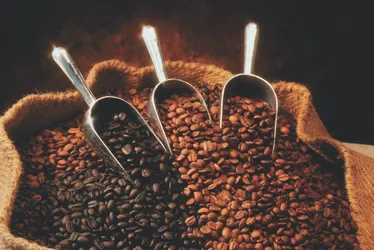 Imagem ilustrativa da imagem Trump afirma que vai reduzir tarifa do café