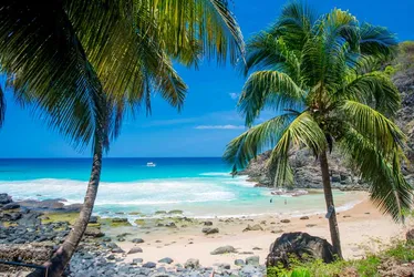 Imagem ilustrativa da imagem Turista de São Paulo morre após afogamento na Praia do Cachorro, em Noronha