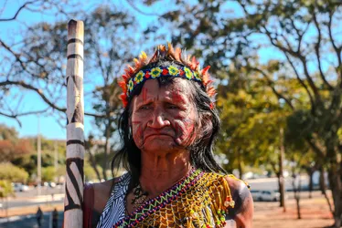 Imagem ilustrativa da imagem Últimos dias para visitar o PEBA, a mostra mais vista da história da Caixa Cultural