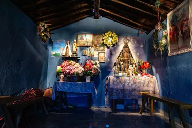 Imagem ilustrativa da imagem Últimos dias para visitar o PEBA, a mostra mais vista da história da Caixa Cultural