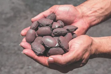 
          Imagem ilustrativa da imagem Vale e Biancogrés têm projetos à espera de soluções
          