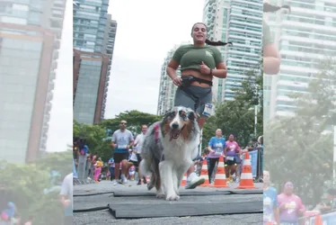 
          Imagem ilustrativa da imagem Veja imagens dos participantes da Corrida Tribuna Ruas da Cidade
          