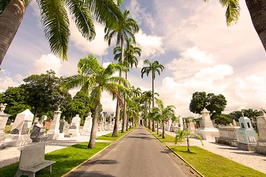 Imagem ilustrativa da imagem Veja programação religiosa nos cemitérios do Grande Recife neste Dia de Finados