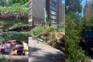 
          Imagem ilustrativa da imagem Vendaval em SP: Procon orienta clientes da Enel a documentarem prejuízos por falta de luz
          