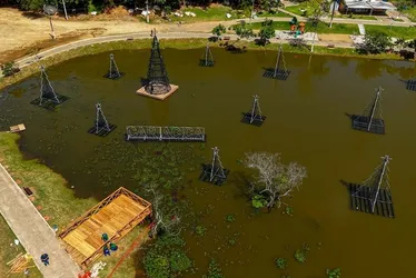 Imagem ilustrativa da imagem Vila de Natal em Cariacica terá deck sobre lago para fotos de árvores flutuantes