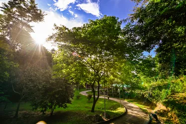 
          Imagem ilustrativa da imagem Vitória mais verde e com meio ambiente preservado
          