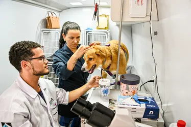 
          Imagem ilustrativa da imagem Vitória mais verde e com meio ambiente preservado
          