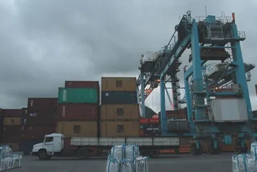 
          Imagem ilustrativa da imagem Vports investe em ferrovia e automação. Veja o planejamento para os próximos anos
          