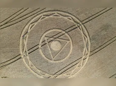 Imagem ilustrativa da imagem Agroglifos: desenhos ‘misteriosos’ que aparecem em plantação de Santa Catarina