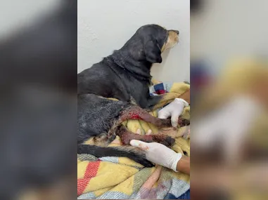 Síndico Cléber Rosa de Oliveira, que confessou ter matado a corretora Daiane Alves Souza, 43,