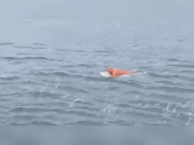 Empresário Fabiano Zettel é alvo de prisão temporária