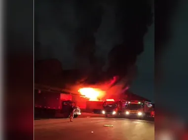 Gerson invadiu o recinto de Leona, única leoa do zoológico