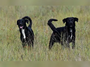 O falecimento de Mário Vasconcelos foi anunciado em suas redes sociais