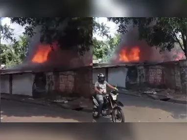 Gerson de Melo Machado, que tinha problemas mentais, queria ver a leoa de perto e invadiu o local