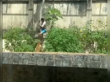 Para apreciar a superlua, não é preciso nenhum equipamento, mas estar em locais sem poluição luminosa (luzes artificiais) ajuda