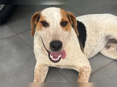 Segundo a investigação, ela havia acabado de perder uma ação judicial e foi atrás de um vidente, já falecido, que atendia na rodoviária do Plano Piloto