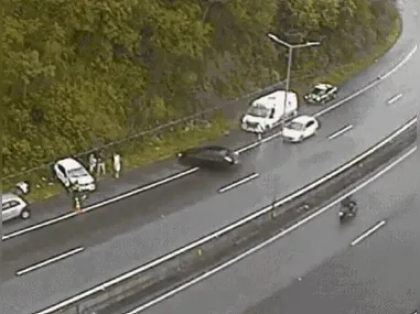 Lei estabelece prazo de até 45 dias para que os órgãos ambientais respondam às solicitações de poda ou corte em situações de risco