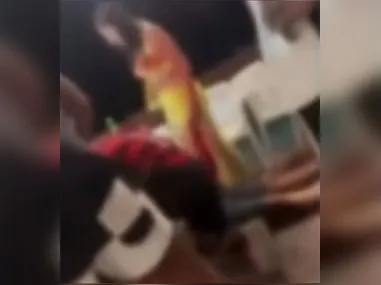 Passaporte tem apenas uma marcação, de entrada, que registra a data de 5 de maio de 2007 – três anos antes da morte de Eliza Samudio