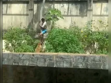 Trata-se do primeiro lançamento comercial de um veículo espacial a partir do território nacional