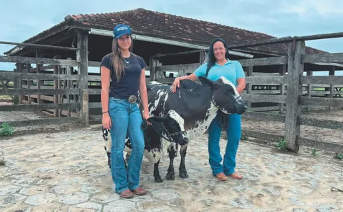 
          Imagem ilustrativa da imagem 14 mil sítios e fazendas do ES são comandados por mulheres
          