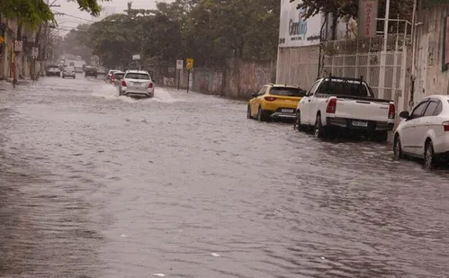 
          Imagem ilustrativa da imagem 266 mil capixabas estão cadastrados para receber aviso de desastres
          