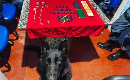 
          Imagem ilustrativa da imagem Adolescente é detido após pichar sigla de facção criminosa em muro de ginásio no ES
          