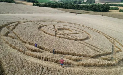 
          Imagem ilustrativa da imagem Agroglifos: desenhos ‘misteriosos’ que aparecem em plantação de Santa Catarina
          