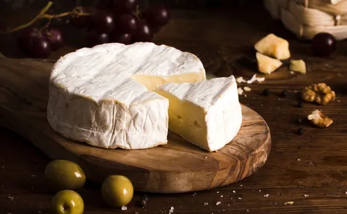 
          Imagem ilustrativa da imagem Agroindústria artesanal: ES tem 1.700 produtores de queijos
          