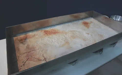 
          Imagem ilustrativa da imagem Armazém do Porto vira ponto de encontro da arte em Vitória
          