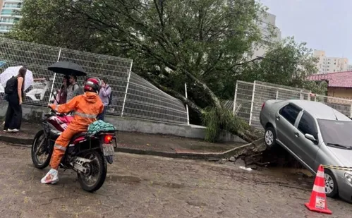 
          Imagem ilustrativa da imagem Árvore cai e levanta carro após fortes chuvas em Vitória; veja vídeo
          