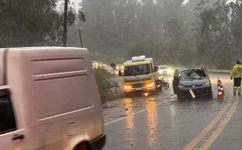 
          Imagem ilustrativa da imagem Árvore cai sobre carro e mata mulher de 35 anos em SP
          