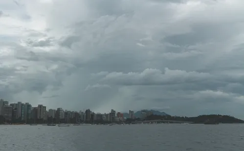 
          Imagem ilustrativa da imagem Árvores caídas e estragos em 14 cidades após chuva
          