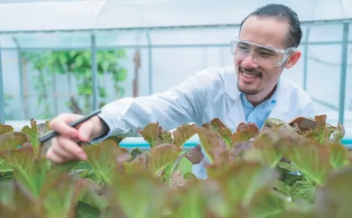 
          Imagem ilustrativa da imagem As 30 profissões que vão ter mais vagas e aumento salarial
          