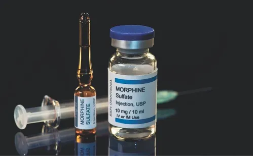 
          Imagem ilustrativa da imagem Até morfina pode reprovar no exame antidrogas para tirar a primeira habilitação
          